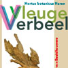 vleugelsverbeeld